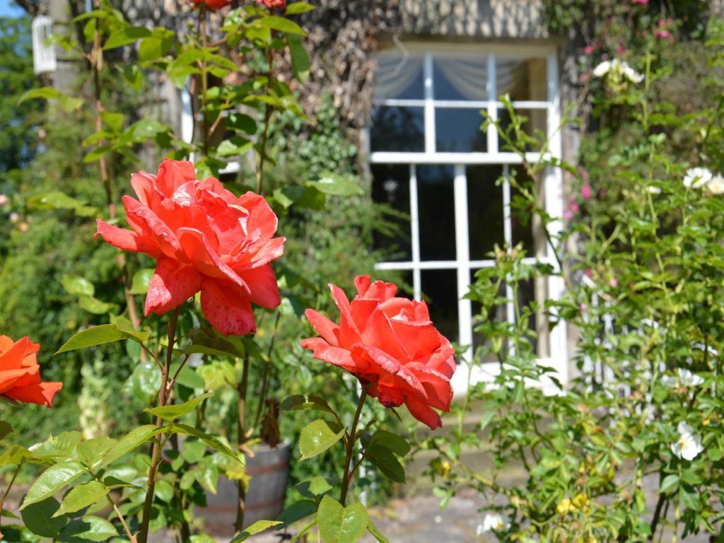 Powis House B&B Stirling Exteriér fotografie