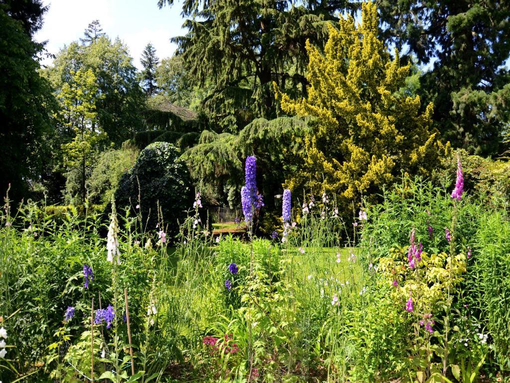 Powis House B&B Stirling Exteriér fotografie